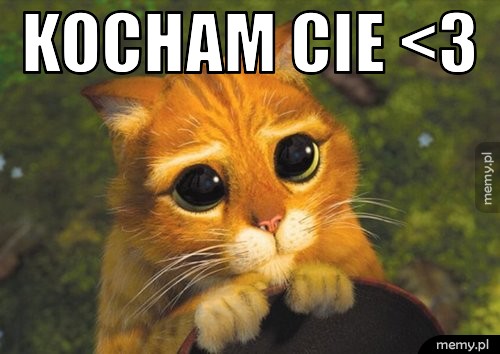 Kocham Cie <3 