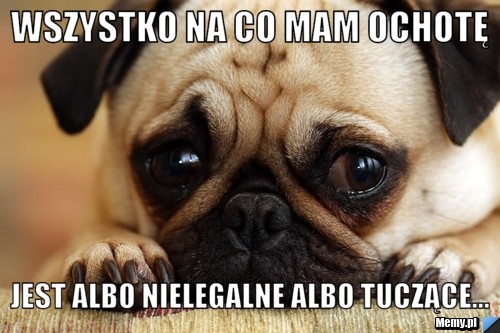 Wszystko na co mam ochotę jest albo nielegalne albo tuczące...