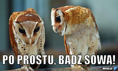  po prostu, bądź sową!
