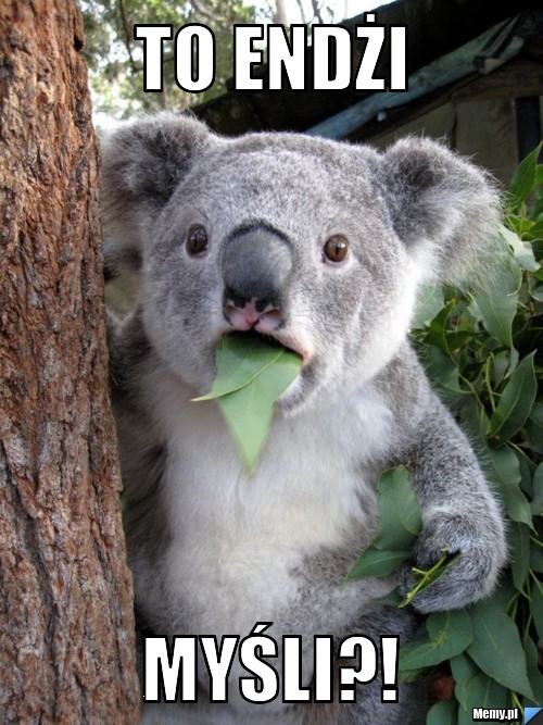 To Endżi MYŚLI?!