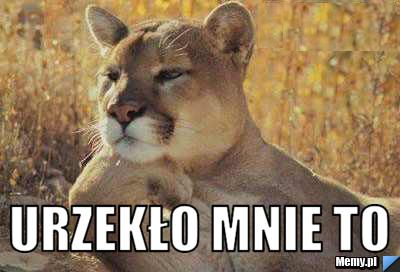  Urzekło mnie to 