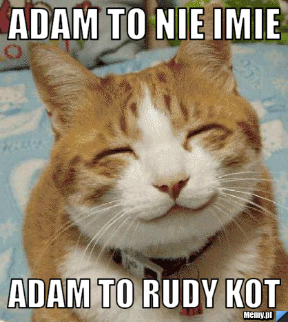 Adam to nie imie  Adam to rudy kot