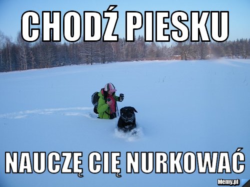 CHODŹ PIESKU NAUCZĘ CIĘ NURKOWAĆ 