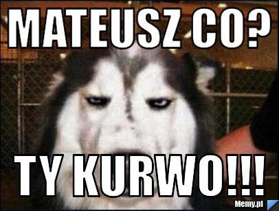 Mateusz co? ty kurwo!!!