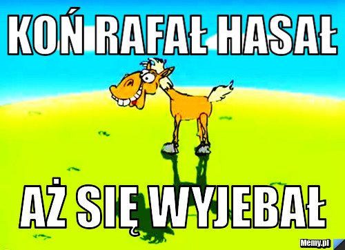 Koń Rafał hasał Aż się Wyjebał