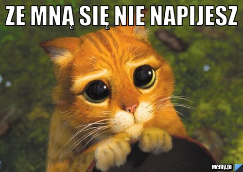 Ze mną się nie napijesz 