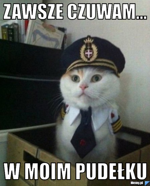Zawsze czuwam... w moim pudełku