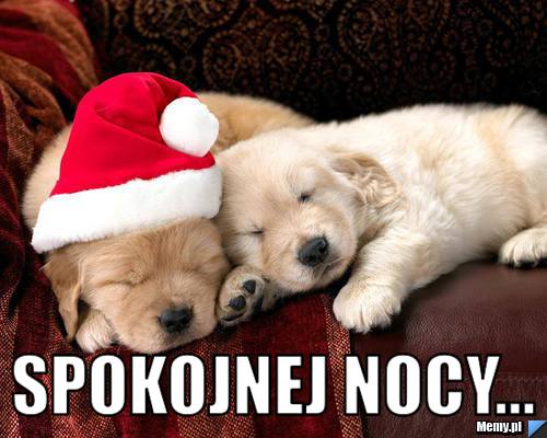  spokojnej nocy...