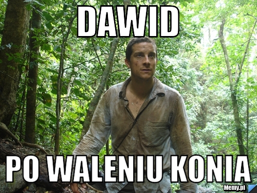 DAwid po waleniu konia