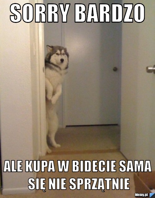 Sorry bardzo ale kupa w bidecie sama się nie sprzątnie