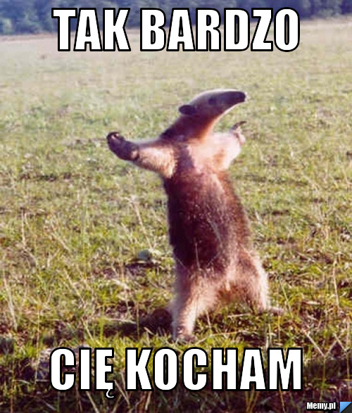Tak bardzo Cię kocham