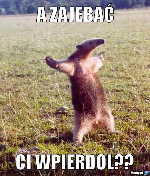A Zajebać Ci Wpierdol??