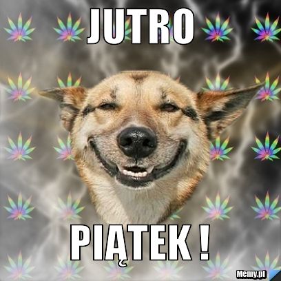 Jutro  Piątek ! 