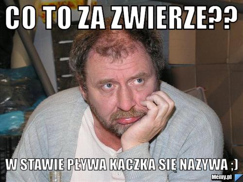 CO TO ZA ZWIERZE?? W STAWIE PŁYWA KACZKA SIĘ NAZYWA ;)