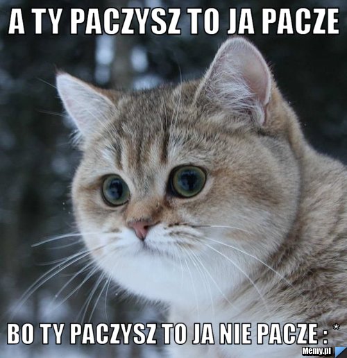 A ty paczysz to ja pacze bo ty paczysz to ja nie pacze : *