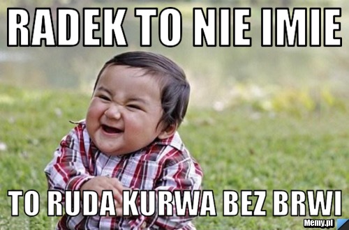 Radek to nie imie To ruda kurwa bez brwi