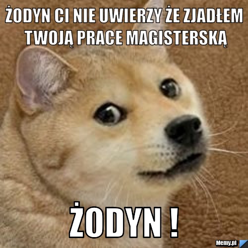 Żodyn Ci nie uwierzy że zjadłem Twoją prace magisterską ŻODYN !