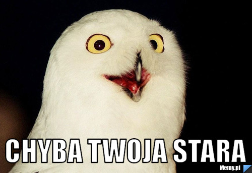  Chyba Twoja stara