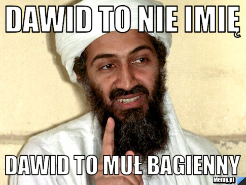Dawid to nie imię Dawid to muł bagienny