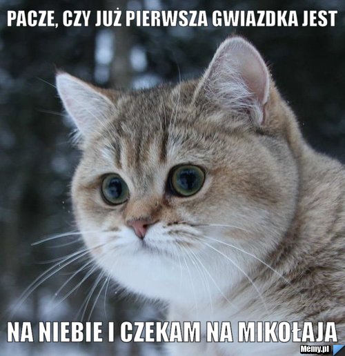 Pacze, czy już pierwsza gwiazdka jest na niebie i czekam na mikołaja