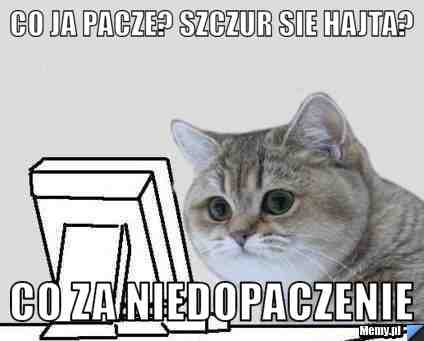 Co ja pacze? szczur sie hajta? co za niedopaczenie