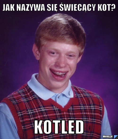 Jak nazywa się świecący kot? Kotled