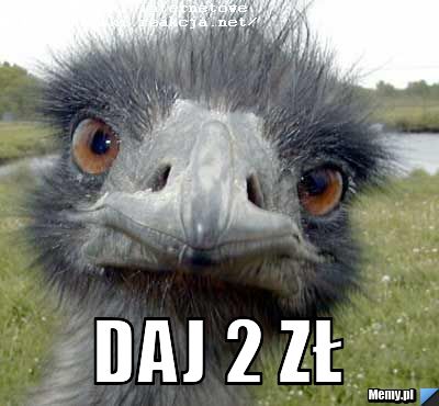  daj 2 zł