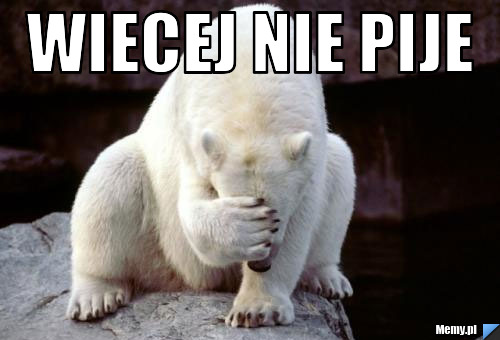 Wiecej nie pije 