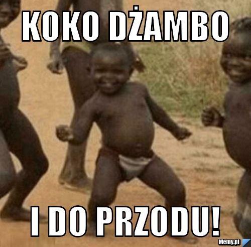 KoKO dżambo i do przodu!