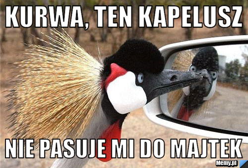 Kurwa, ten kapelusz  nie pasuje mi do majtek