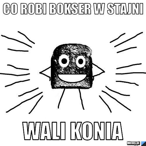 Co robi bokser w stajni wali konia