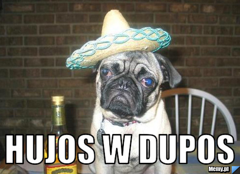   hujos w dupos