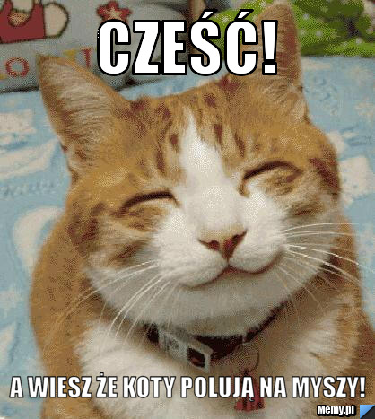 Cześć A Wiesz że Koty Polują Na Myszy Memypl