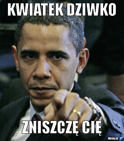Kwiatek dziwko Zniszczę Cię