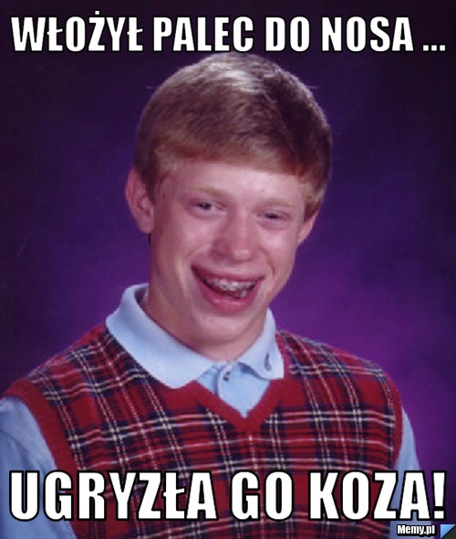 Włożył palec do nosa ... Ugryzła go koza!
