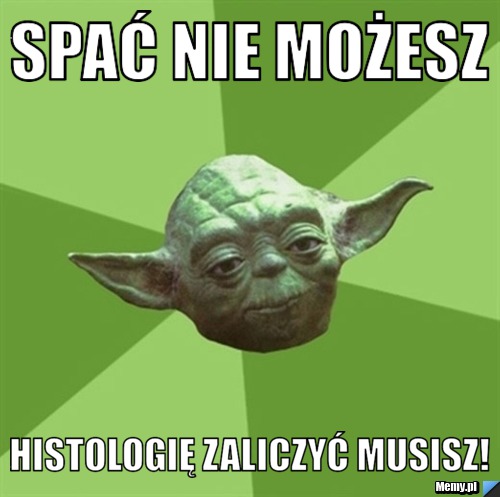 Spać nie możesz histologię zaliczyć musisz!