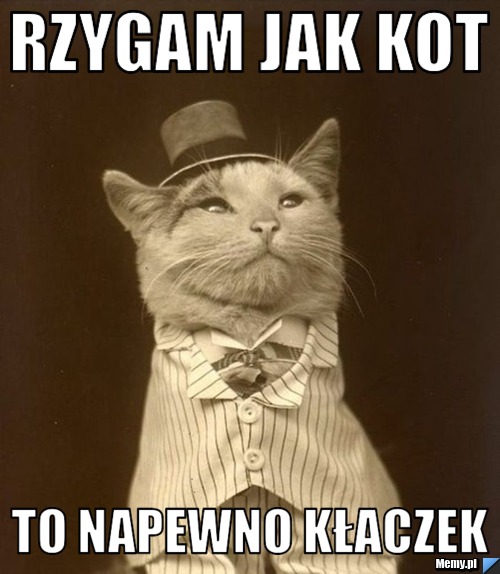 Rzygam jak kot to napewno kłaczek
