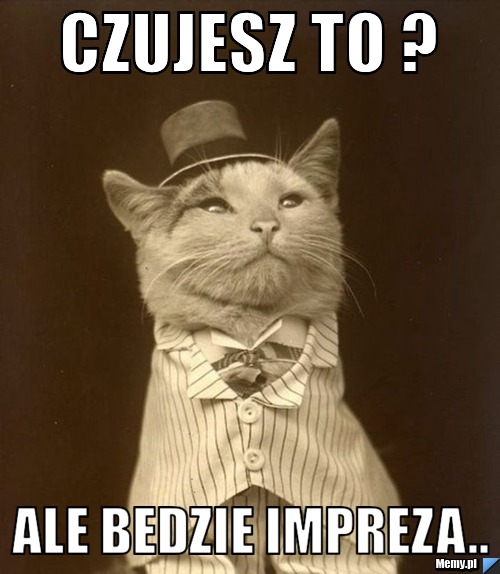 Czujesz to ? ale bedzie impreza..