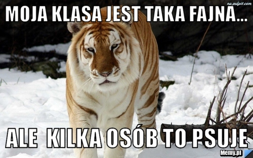 Moja klasa jest taka fajna... Ale  kilka osób to psuje