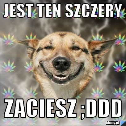 Jest ten szczery  zaciesz ;DDD 