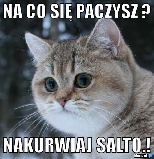 Na co się paczysz ? nakurwiaj salto.!