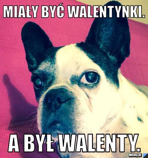 MIAŁY BYĆ WALENTYNKI. A BYŁ WALENTY.