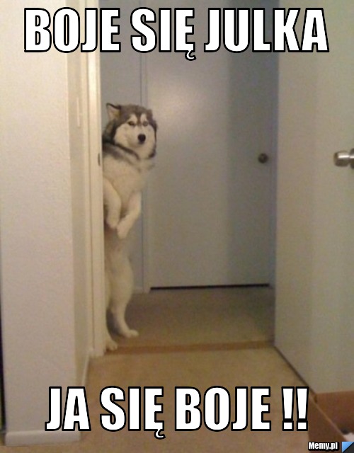 Boje się Julka ja się boje !!