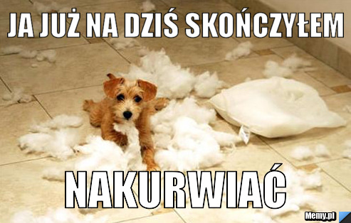 NAKURWIa? NAKURWIać