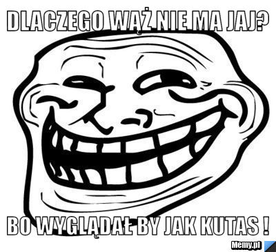 Dlaczego wąż nie ma jaj? Bo wyglądał by jak kutas !