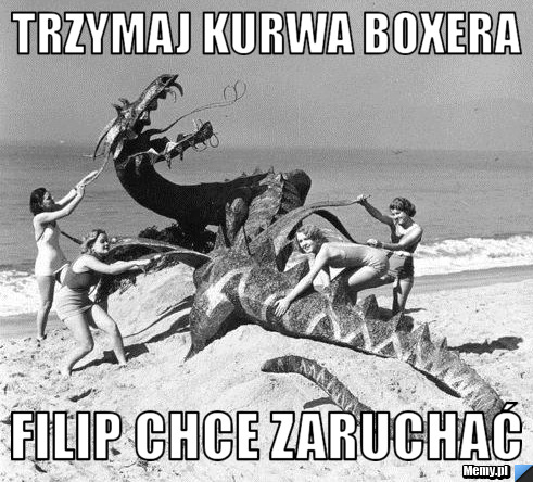 Trzymaj kurwa boxera Filip chce zaruchać 