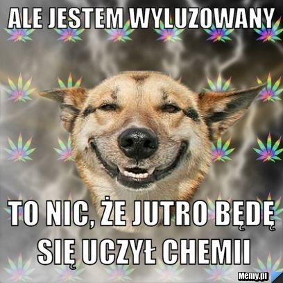 Ale jestem wyluzowany To nic, że jutro będę się uczył chemii