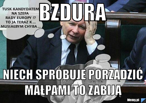 Bzdura niech spr&oacute;buje porządzić małpami to zabiją 