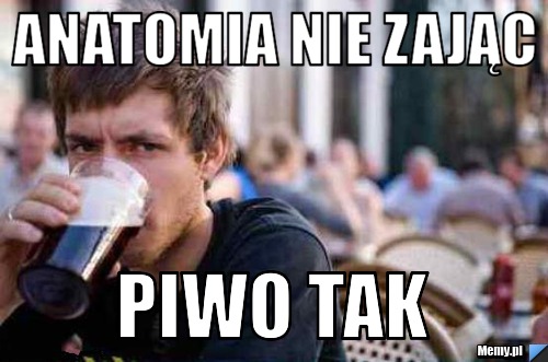 Anatomia nie zając Piwo tak