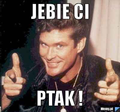 JEBIE CI PTAK !